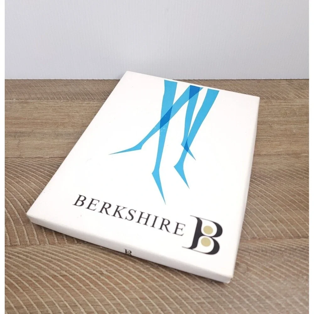 NIB Vintage Berkshire Stockings 3 Pr Lace Micro‎ Mesh Brownstone 10 M